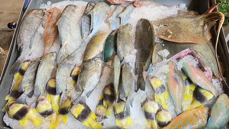 5 quán ăn ngon Nha Trang dân địa phương yêu thích 2023