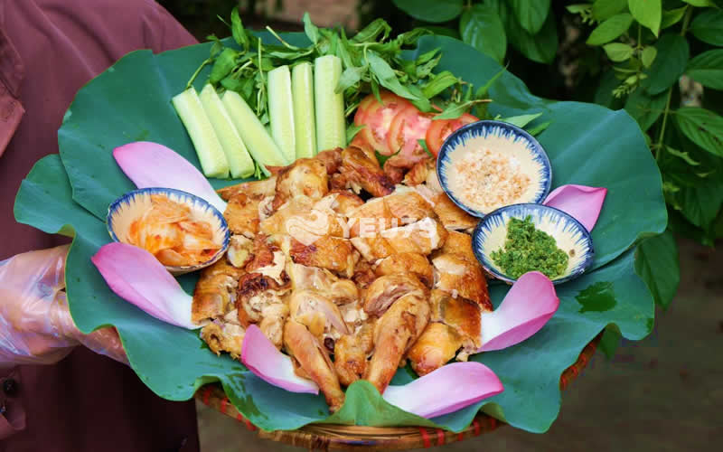 10 Quán gà ngon ở Nha Trang - Ăn ngập mặt mà giá lại rẻ