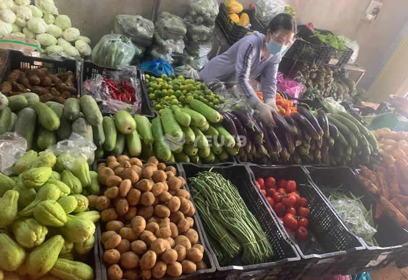 TOP 10 Địa Chỉ Cửa Hàng Rau Sạch Và Uy Tín Tại Nha Trang