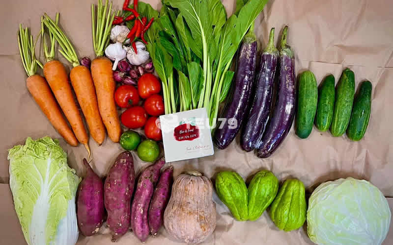 TOP 10 Địa Chỉ Cửa Hàng Rau Sạch Và Uy Tín Tại Nha Trang