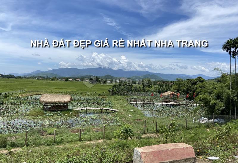 nha dat gia re nha trang
