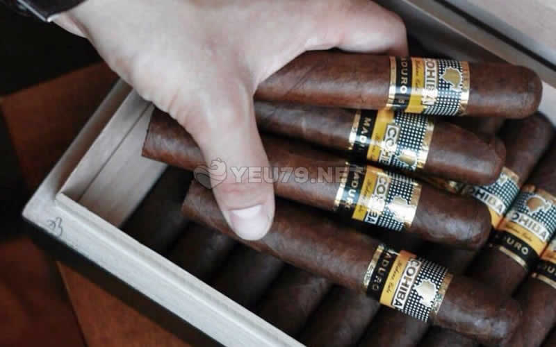Mua Xì Gà (Cigar) tại Nha Trang ở đâu uy tín chất lượng