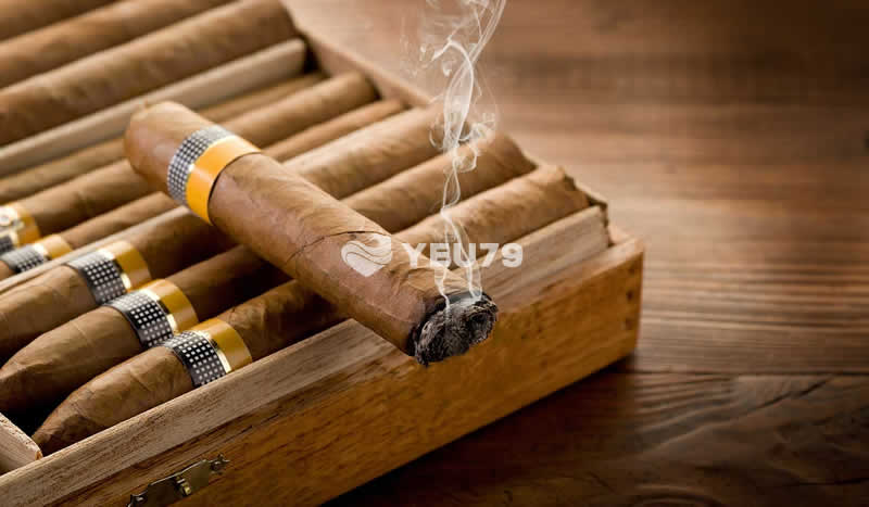Mua Xì Gà (Cigar) tại Nha Trang ở đâu uy tín chất lượng