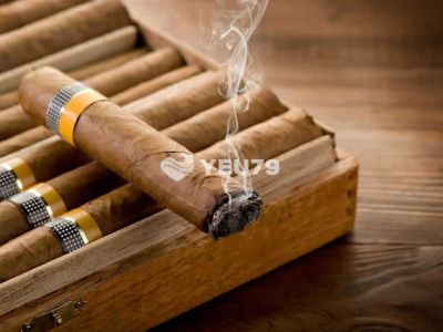 Địa chỉ mua Xì gà (Cigar) tại Nha Trang Ở Đâu Uy Tín Chất Lượng